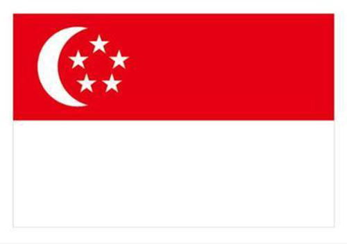 singapo flag 001